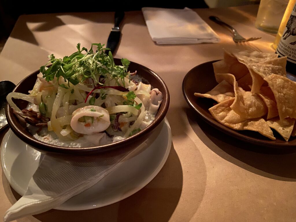 Ceviche de Camar. A calamari ceviche with coconut milk and strips of mango and papaya, and parsley. To the right side is house-made tortilla chips.